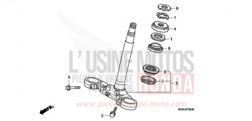 PIANTONE STERZO CBF600NA di 2010